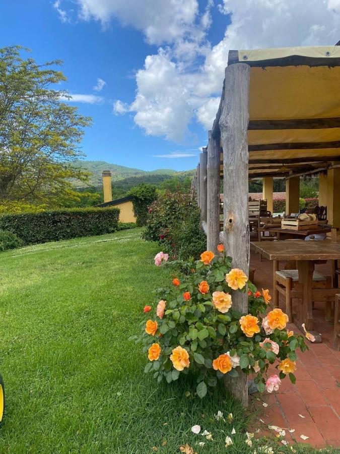 Agriturismo Santa Lorica Сассетта Екстер'єр фото