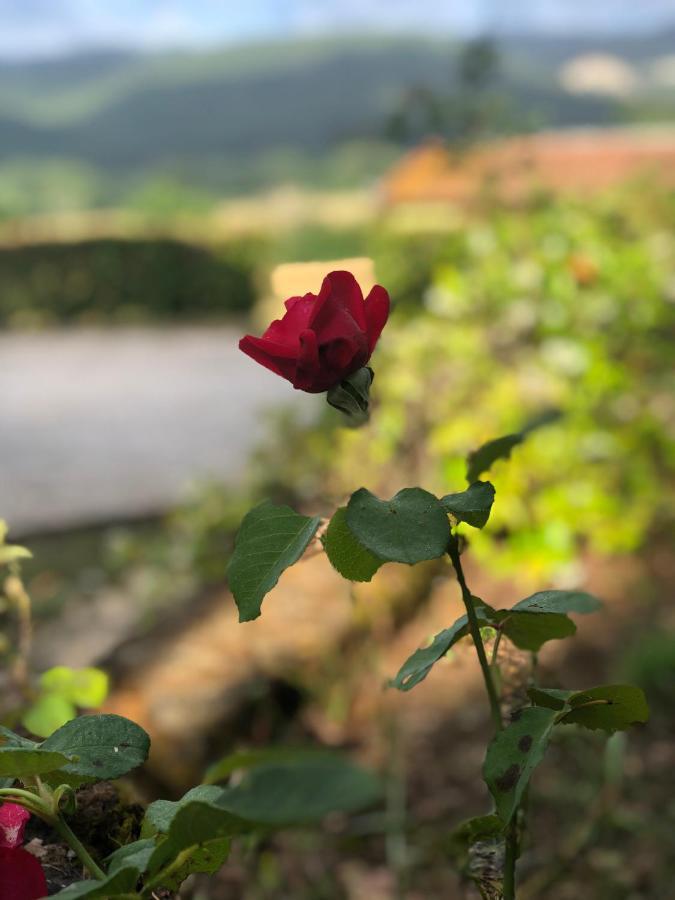 Agriturismo Santa Lorica Сассетта Екстер'єр фото