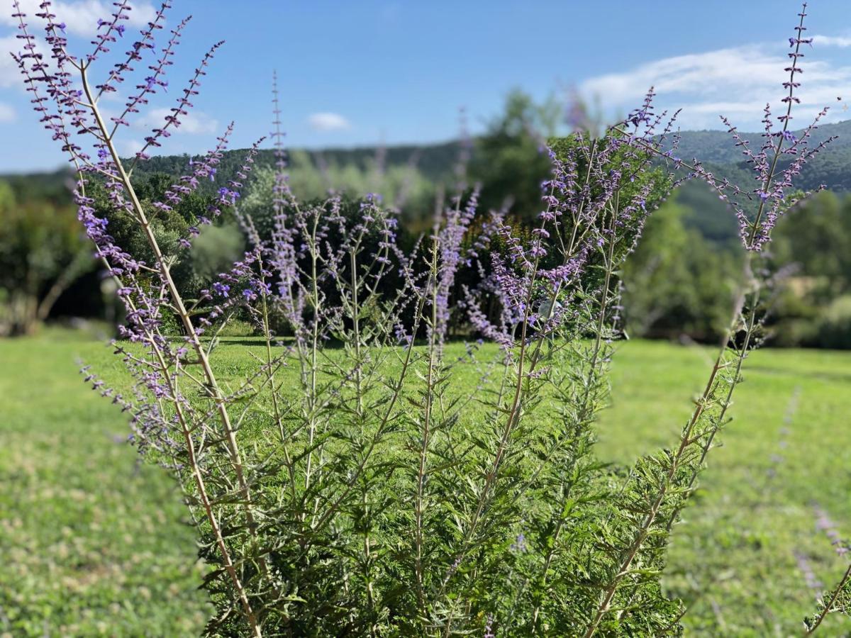 Agriturismo Santa Lorica Сассетта Екстер'єр фото